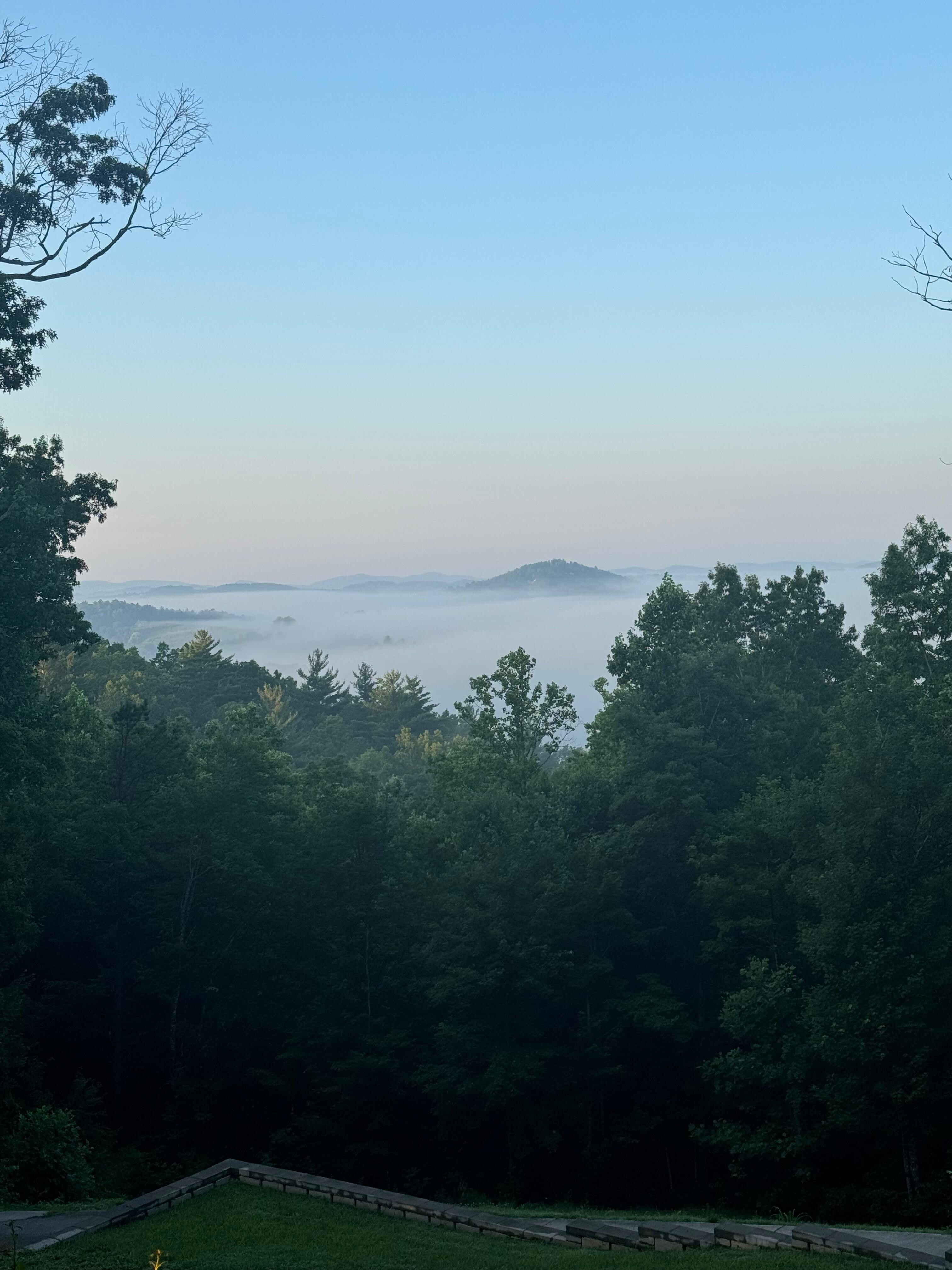 Morning view from front porch