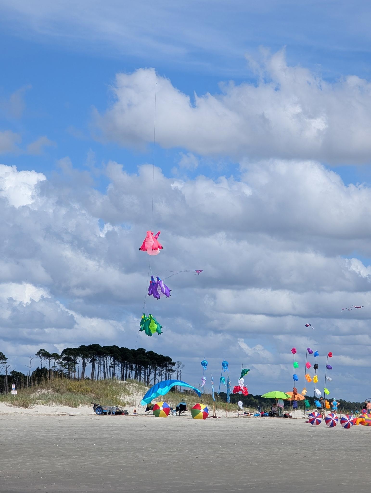 Kites flying on the beach