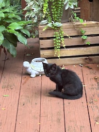 So adorable