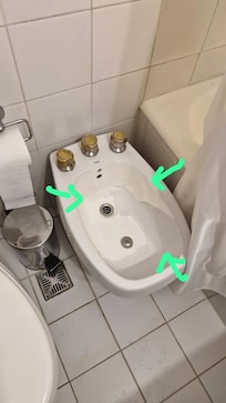 Bidet con pintura de recubrimiento descascarada