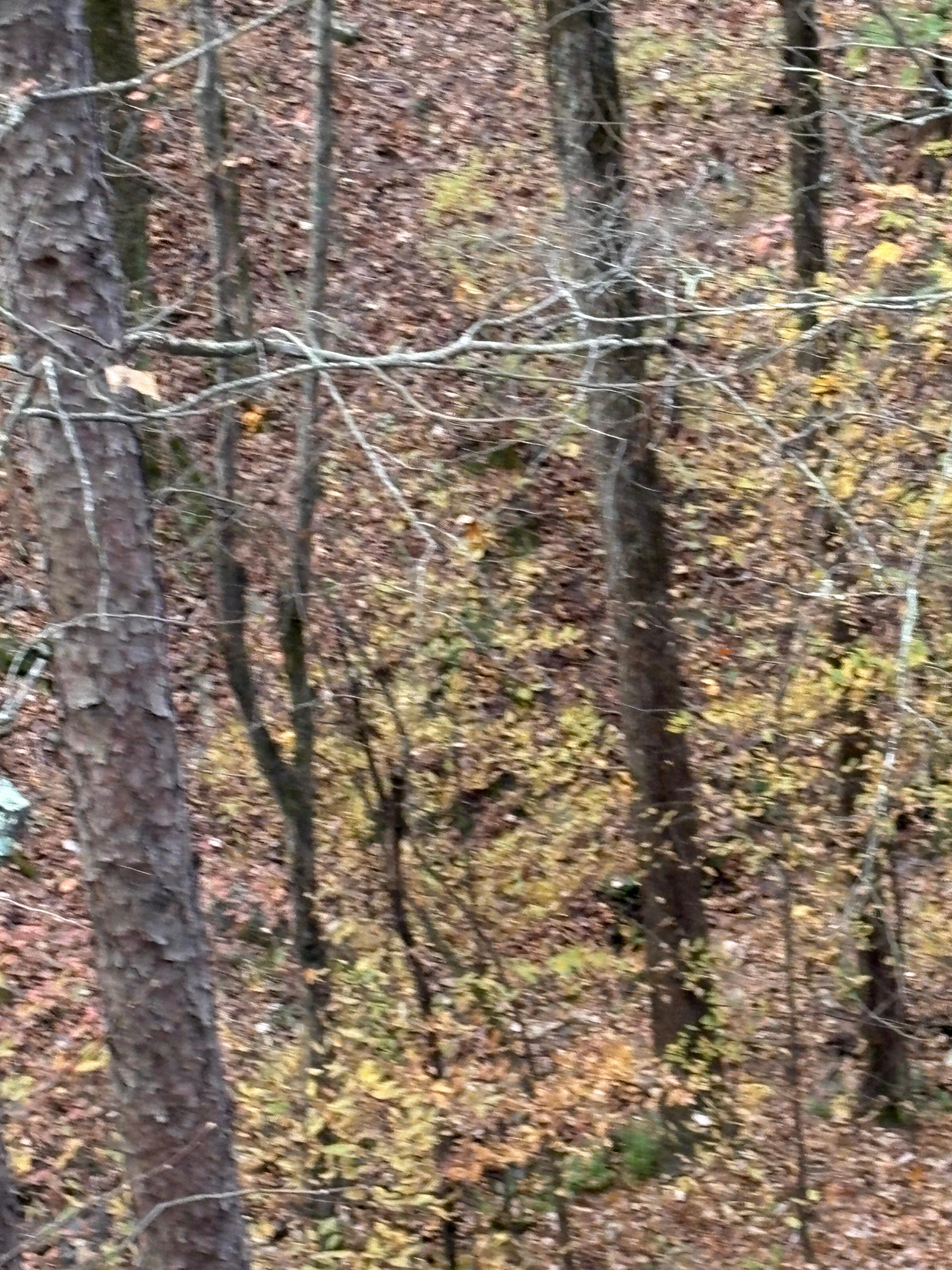 Beautiful fall colors