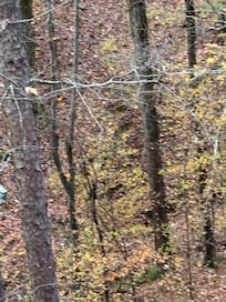 Beautiful fall colors