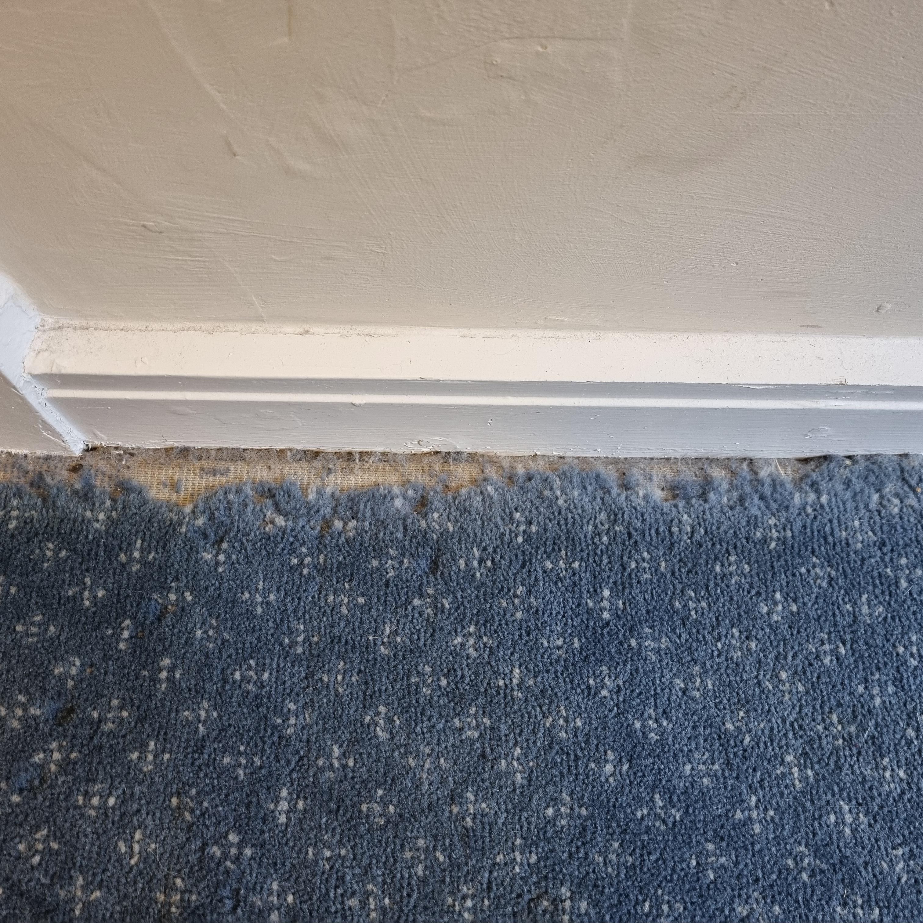 Moth-eaten carpet in bedroom