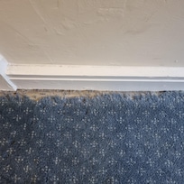 Moth-eaten carpet in bedroom