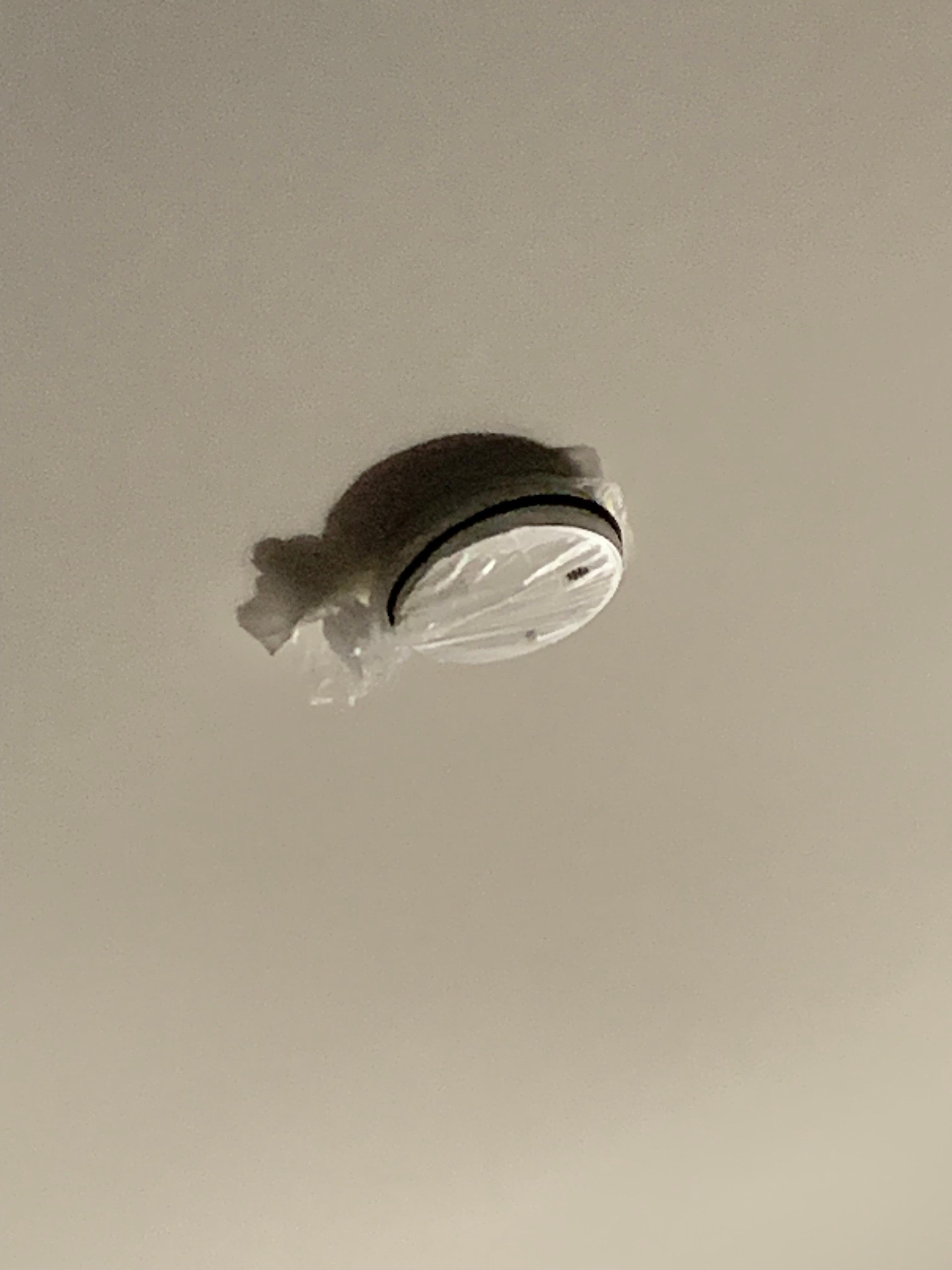 Plastic cover on smoke detector. 