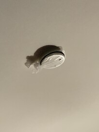 Plastic cover on smoke detector.