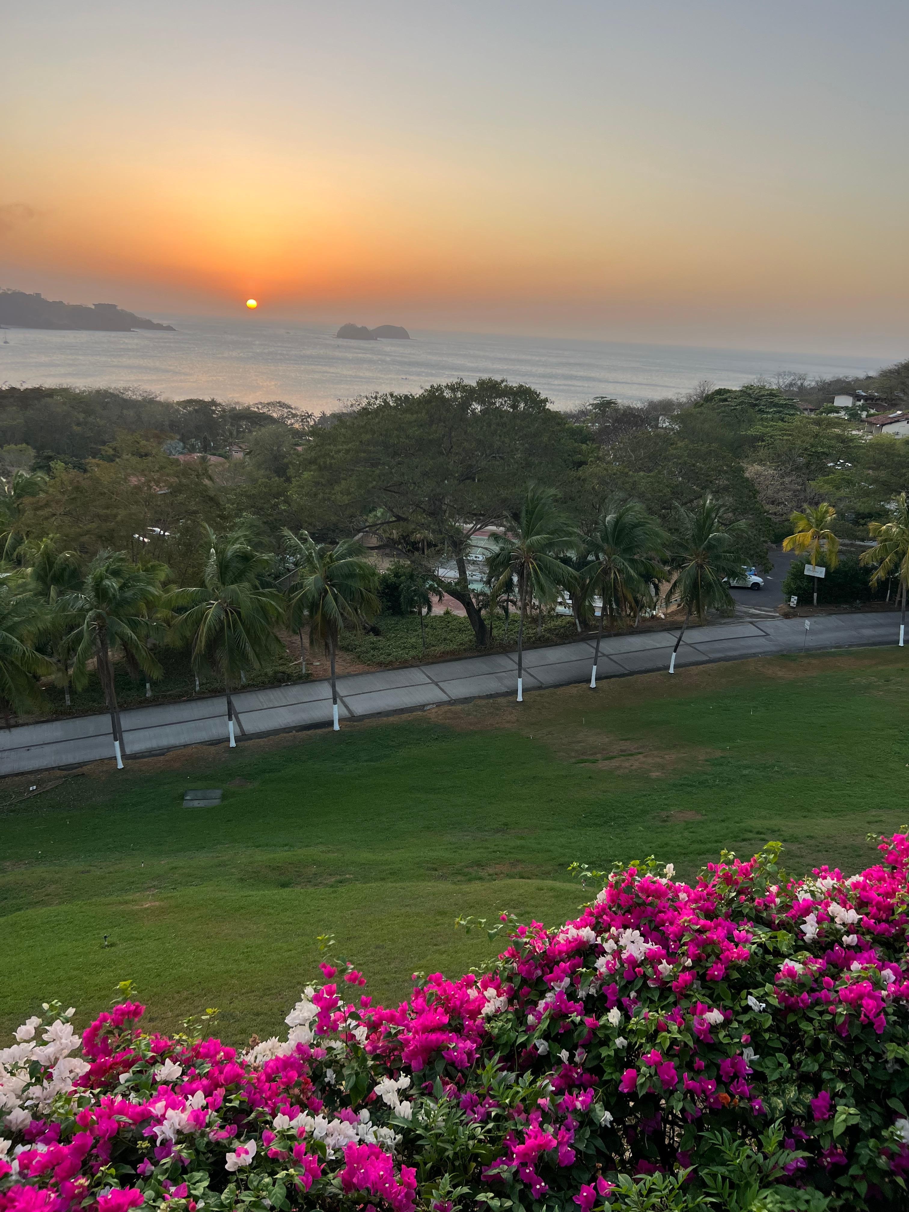 View from restaurant terrace 