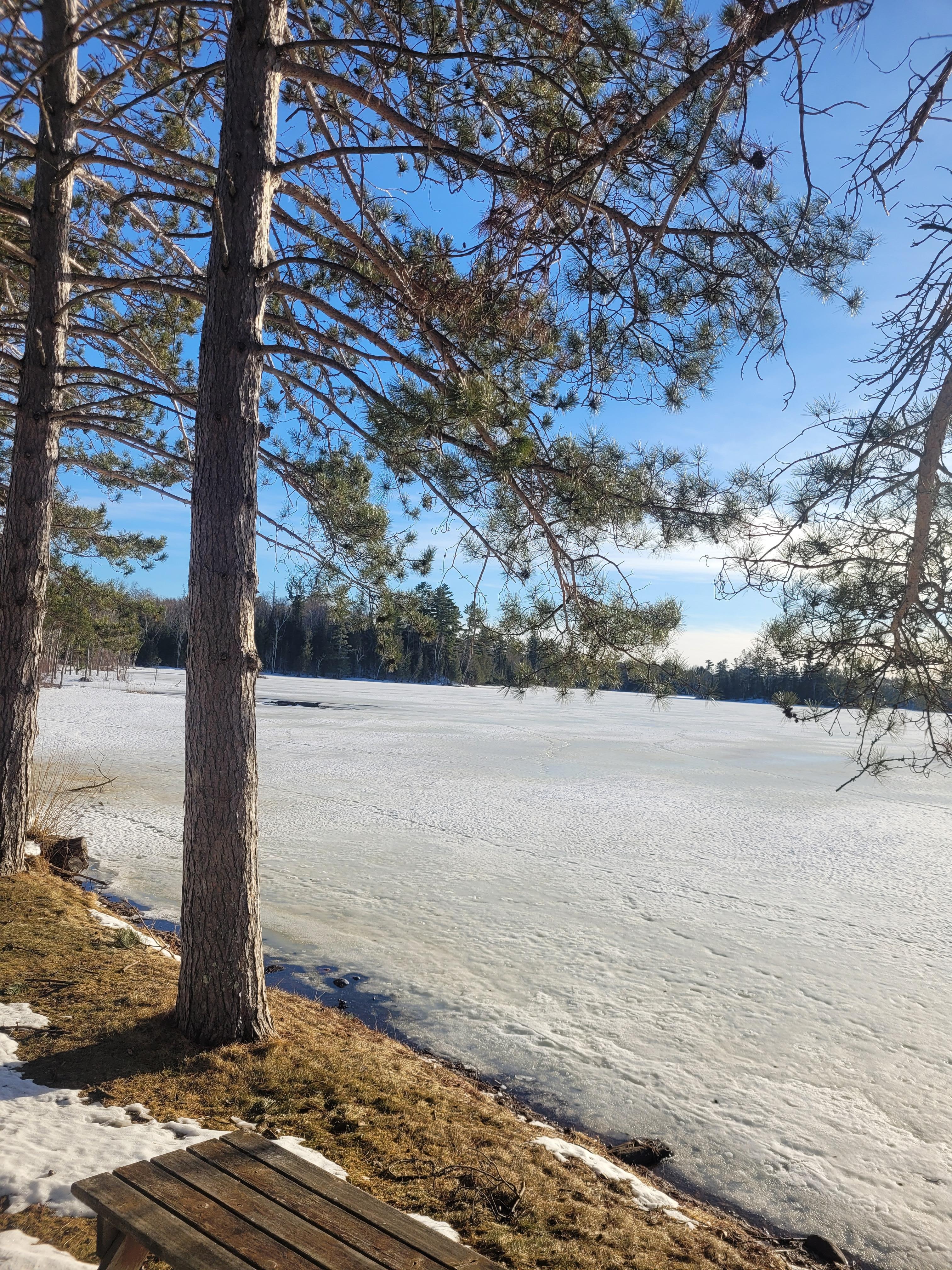 Shore just past the picnic table