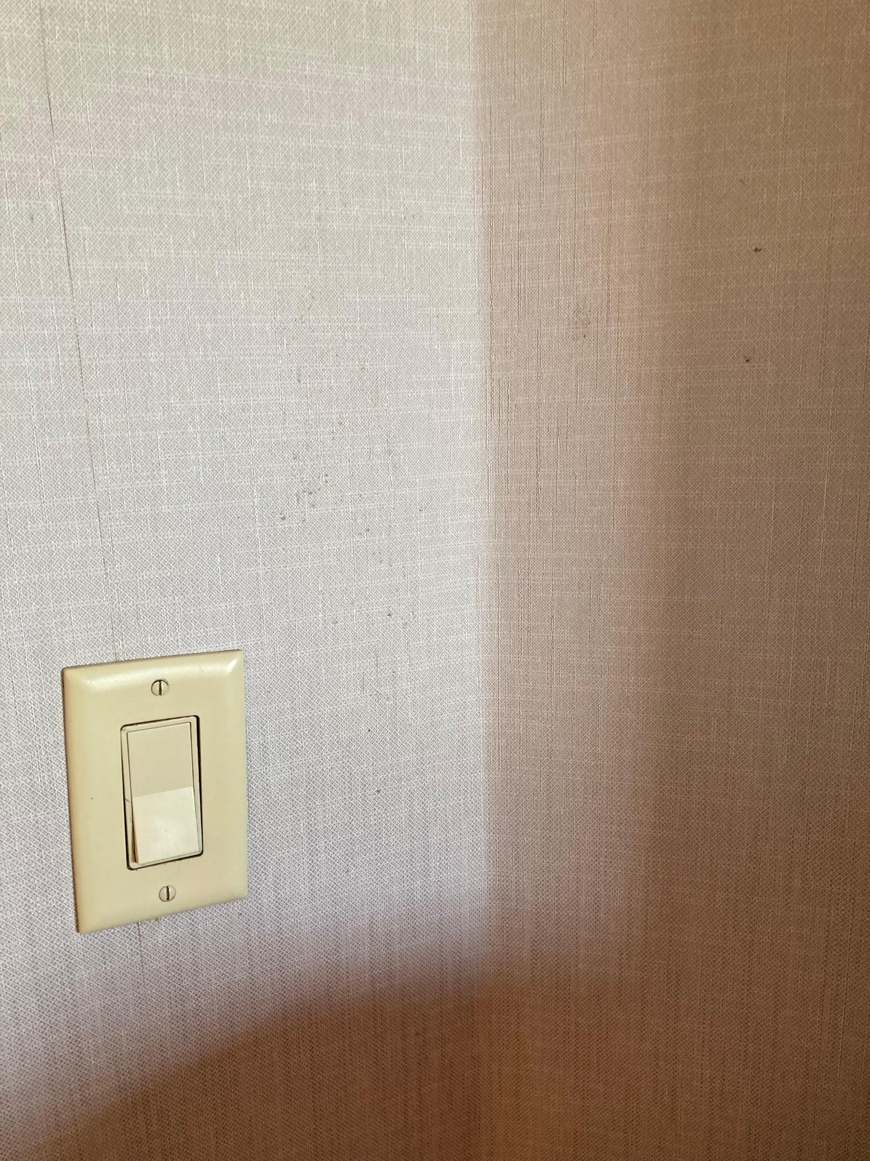 Bedroom-we carry Lysol wipes & spray. I wiped the wall next to light switch and mildew came off & next morning it was back. 