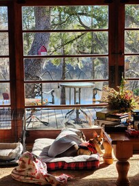 Waking up with this view of the trees and river through these incredible antique doors felt so cozy.
