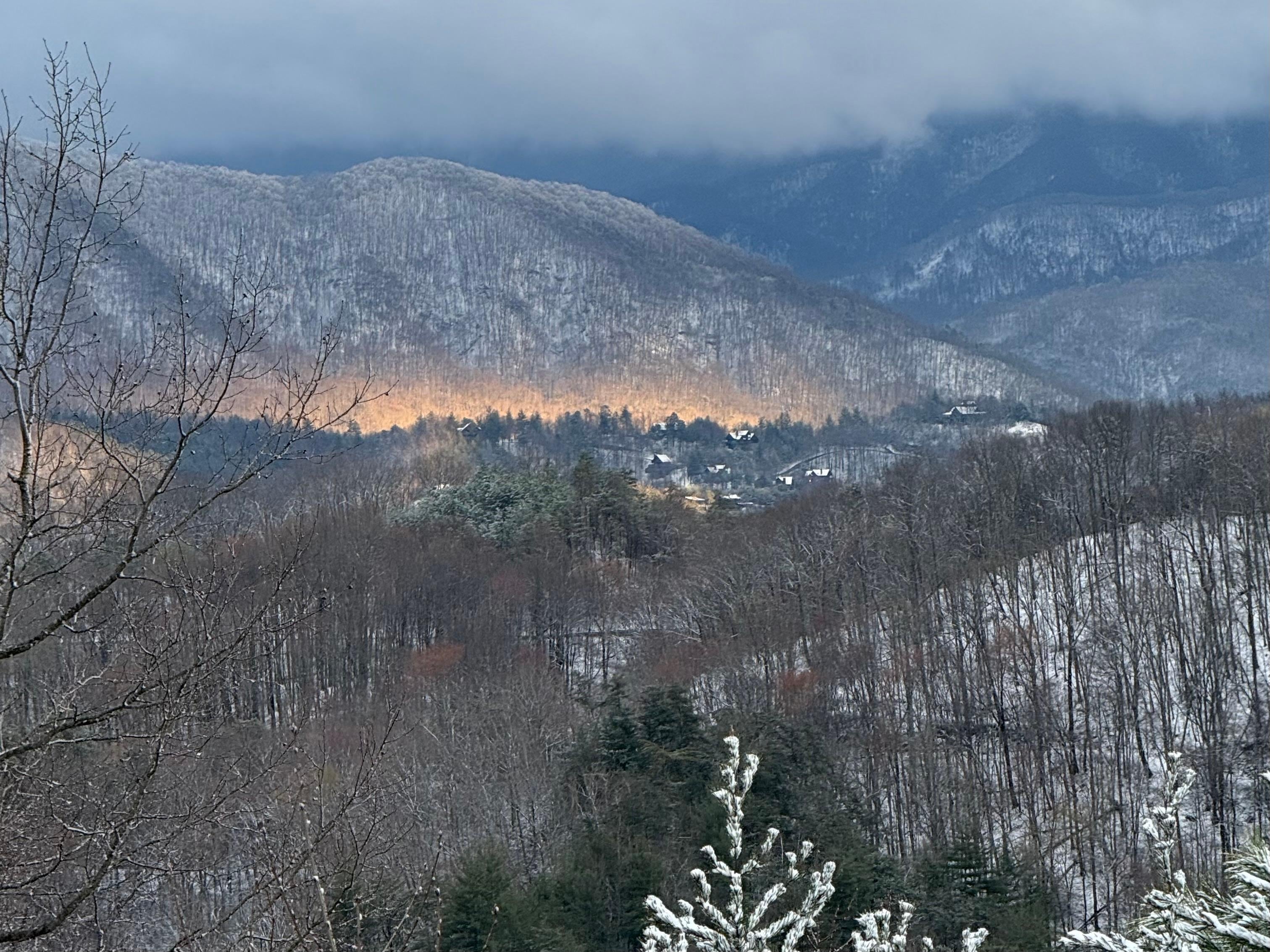 View from back balcony