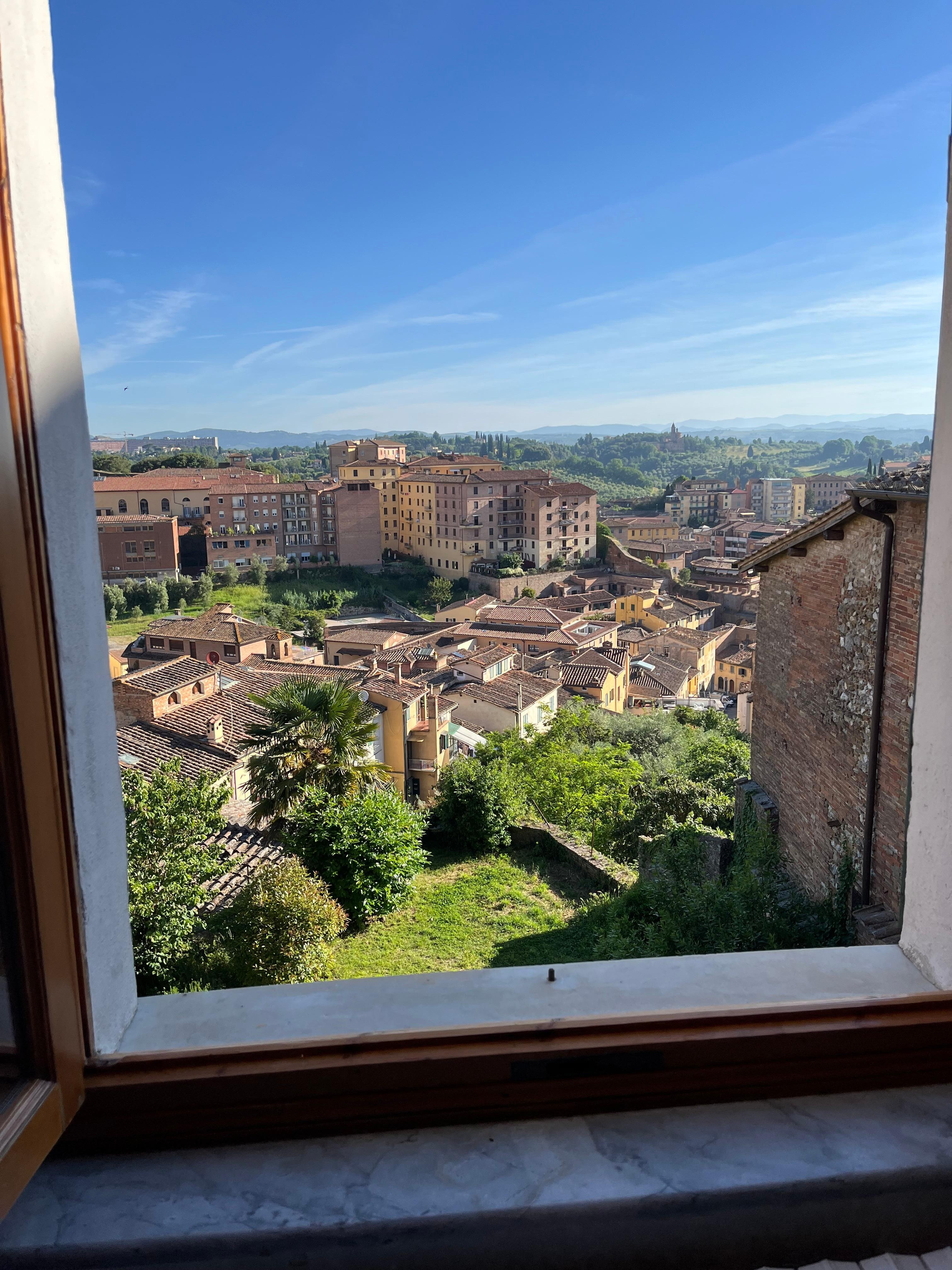 View from apartment window 