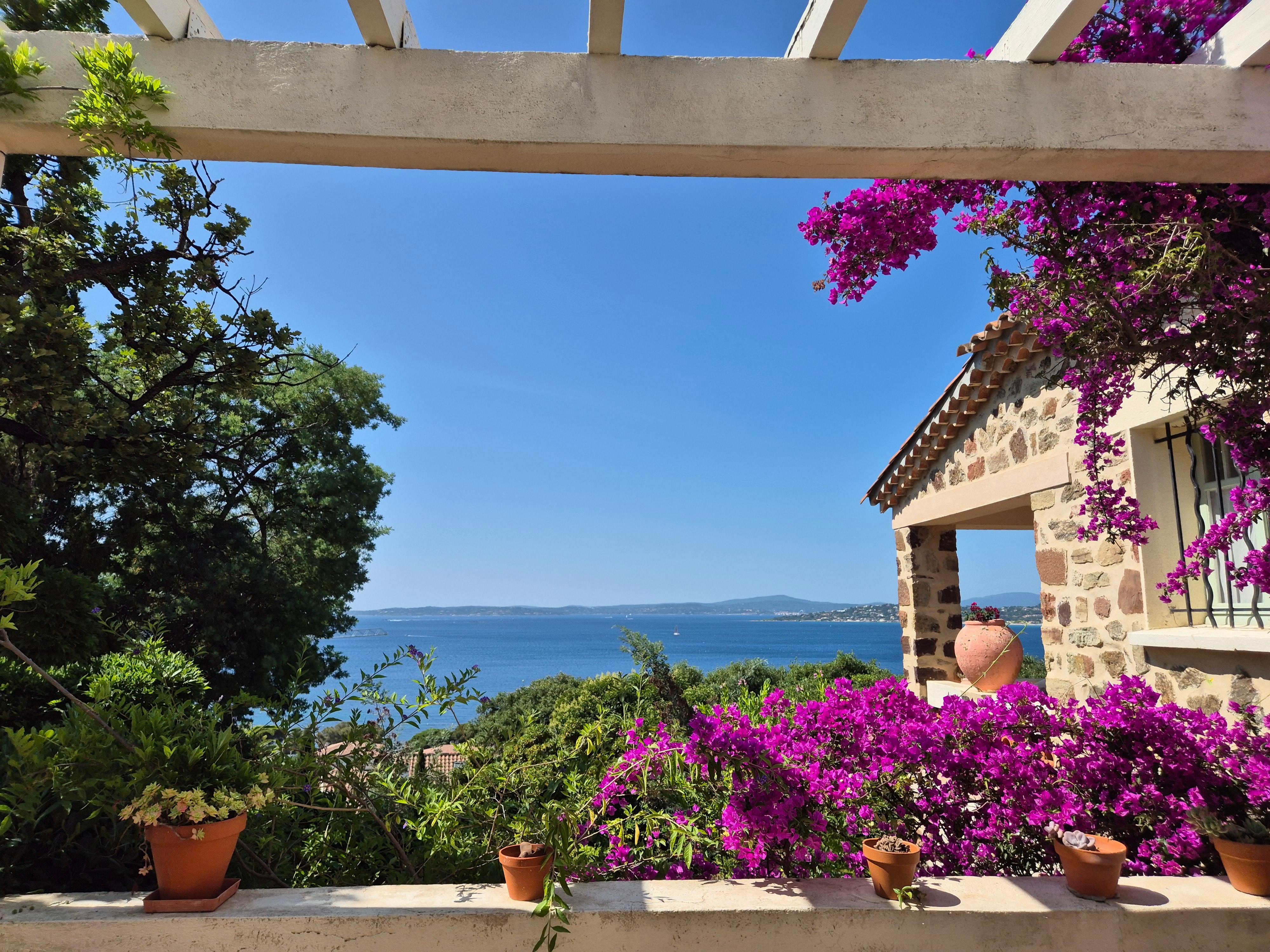 the view every morning