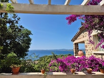 the view every morning