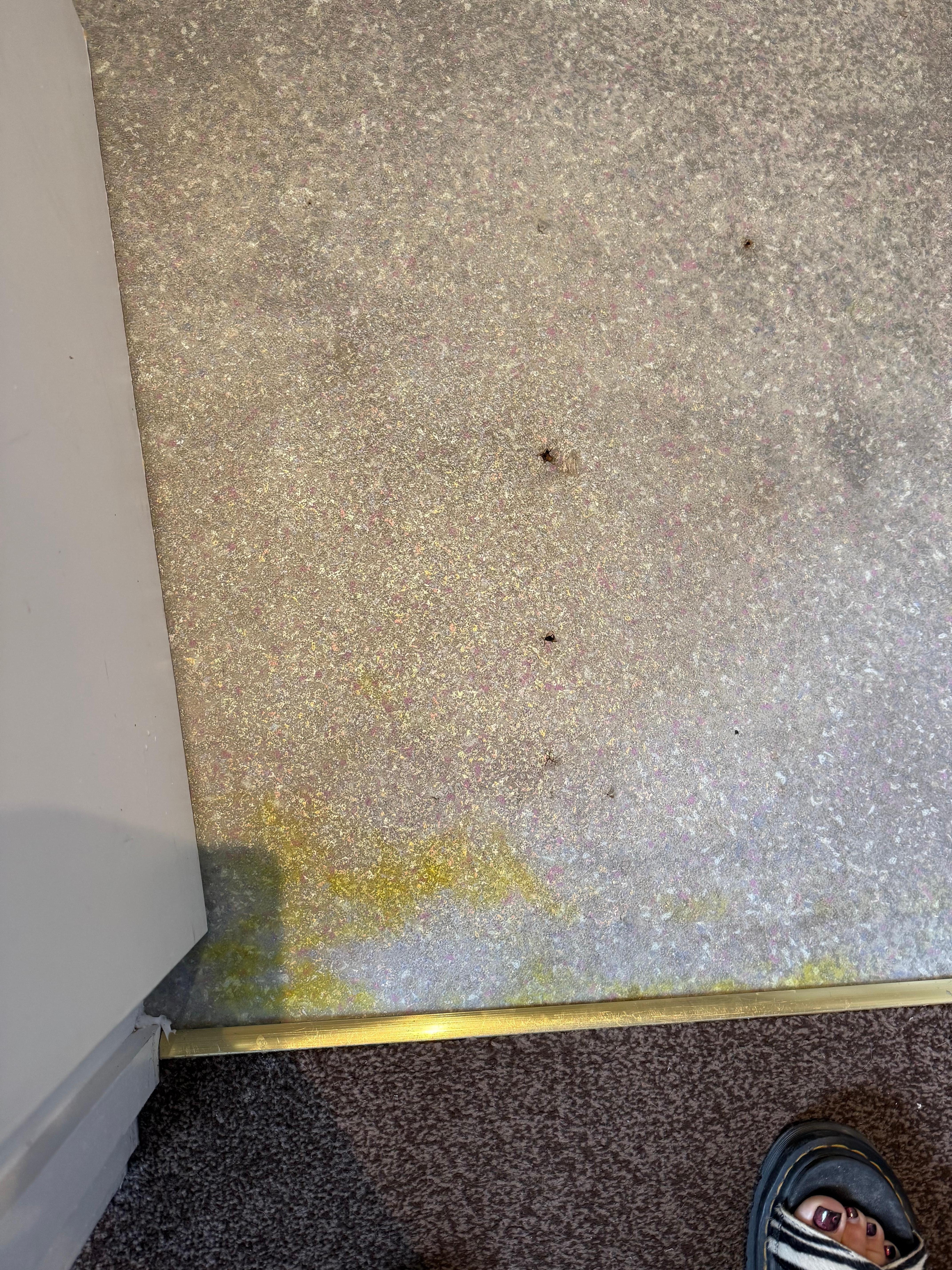 Bathroom floor