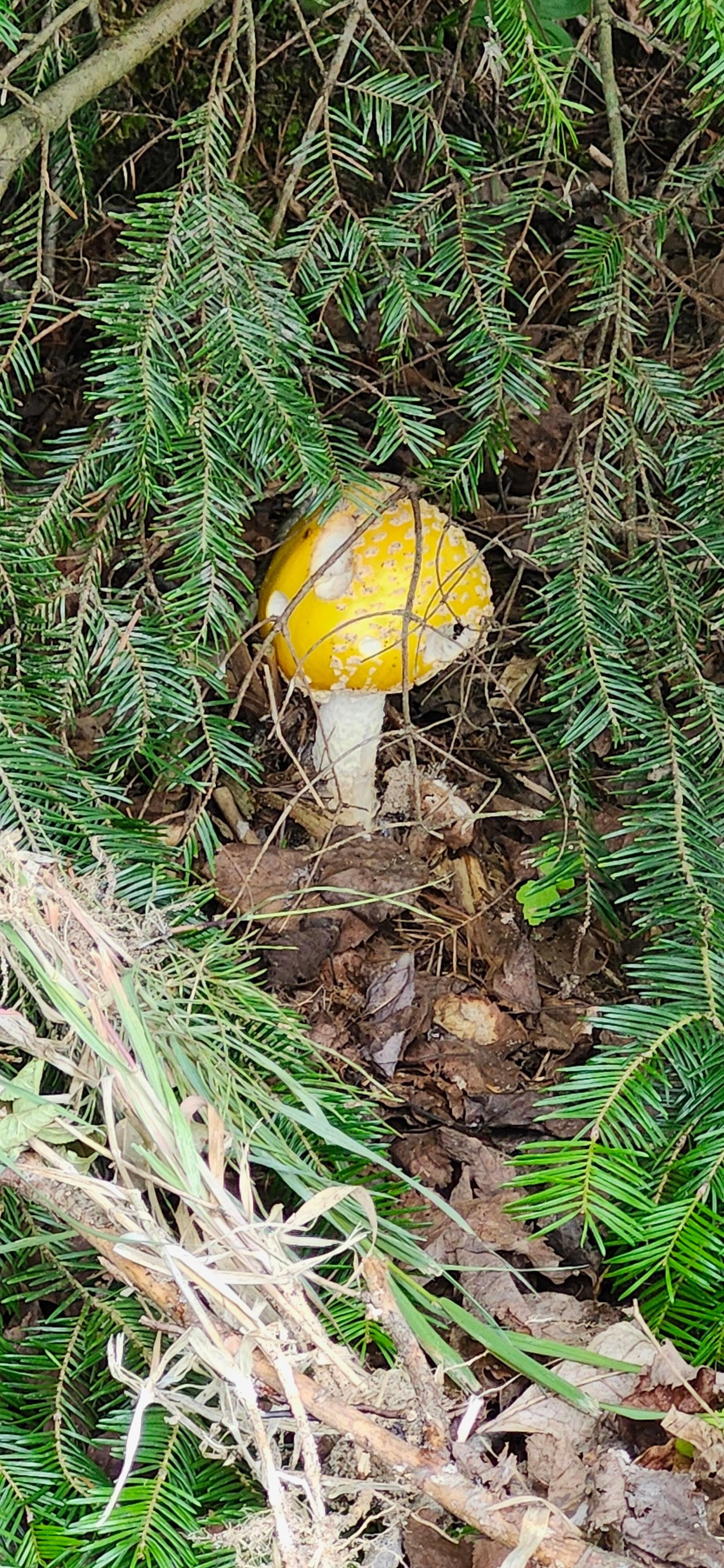 Someone was hiding near the sand beach.
