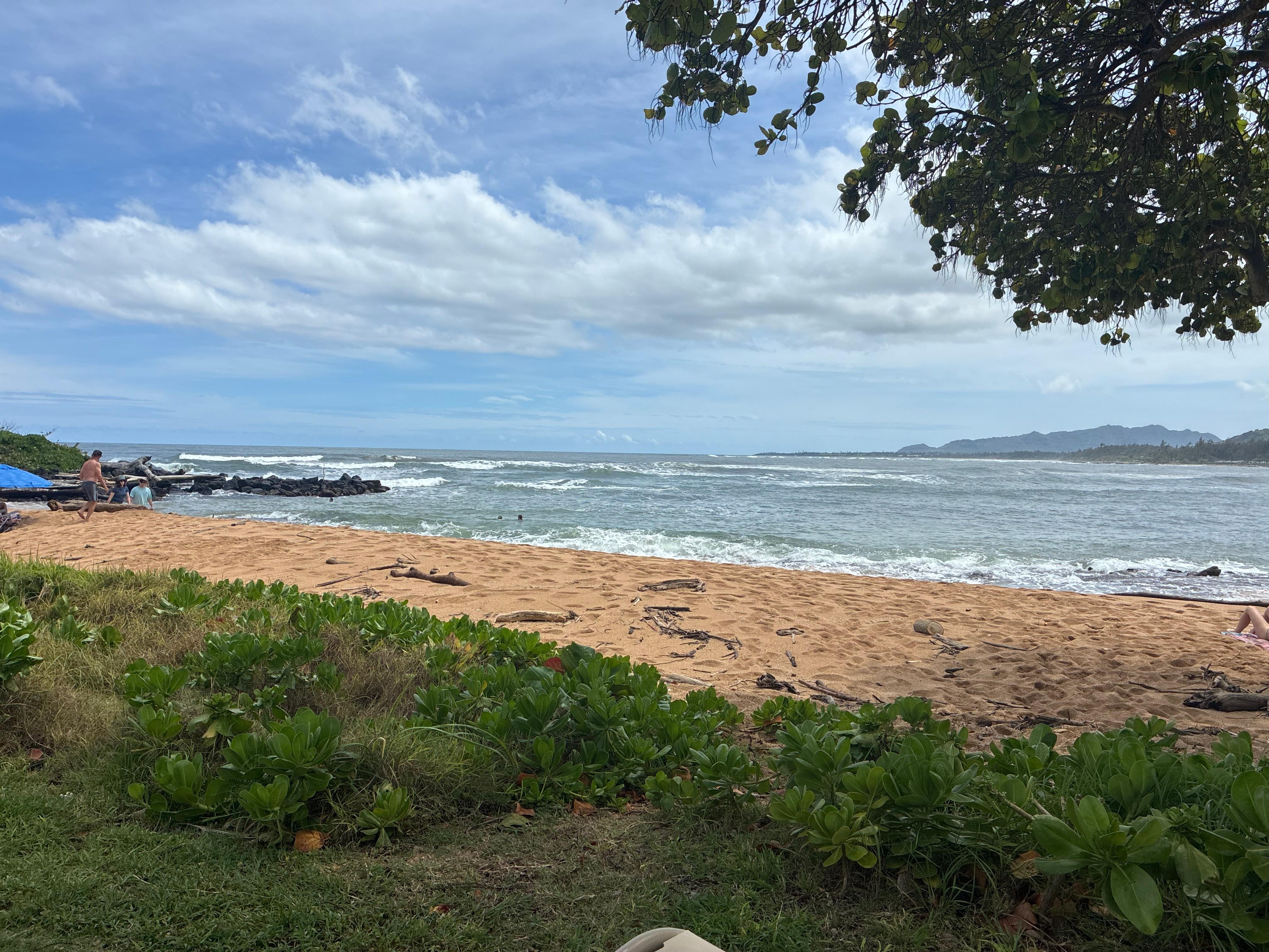 Beach in front of the condo 