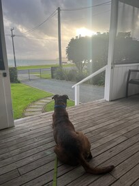 My dog enjoying our first evening