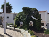 Las Rosas
Garden