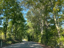 Road to cabin!
