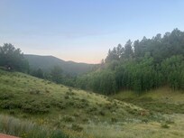 We woke early to 3 bucks grazing outside.