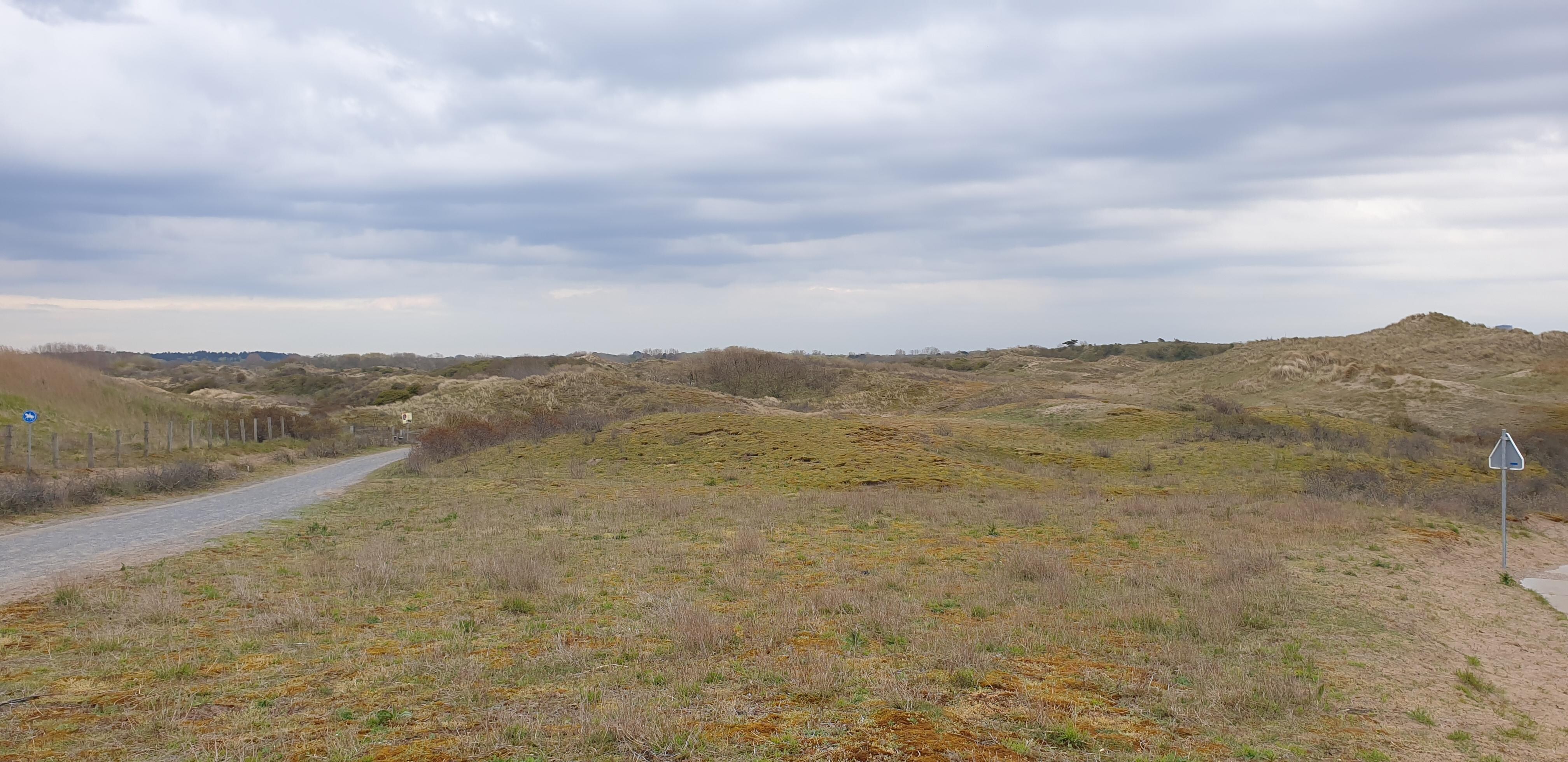 Wandeling over strand, door de duinen terug