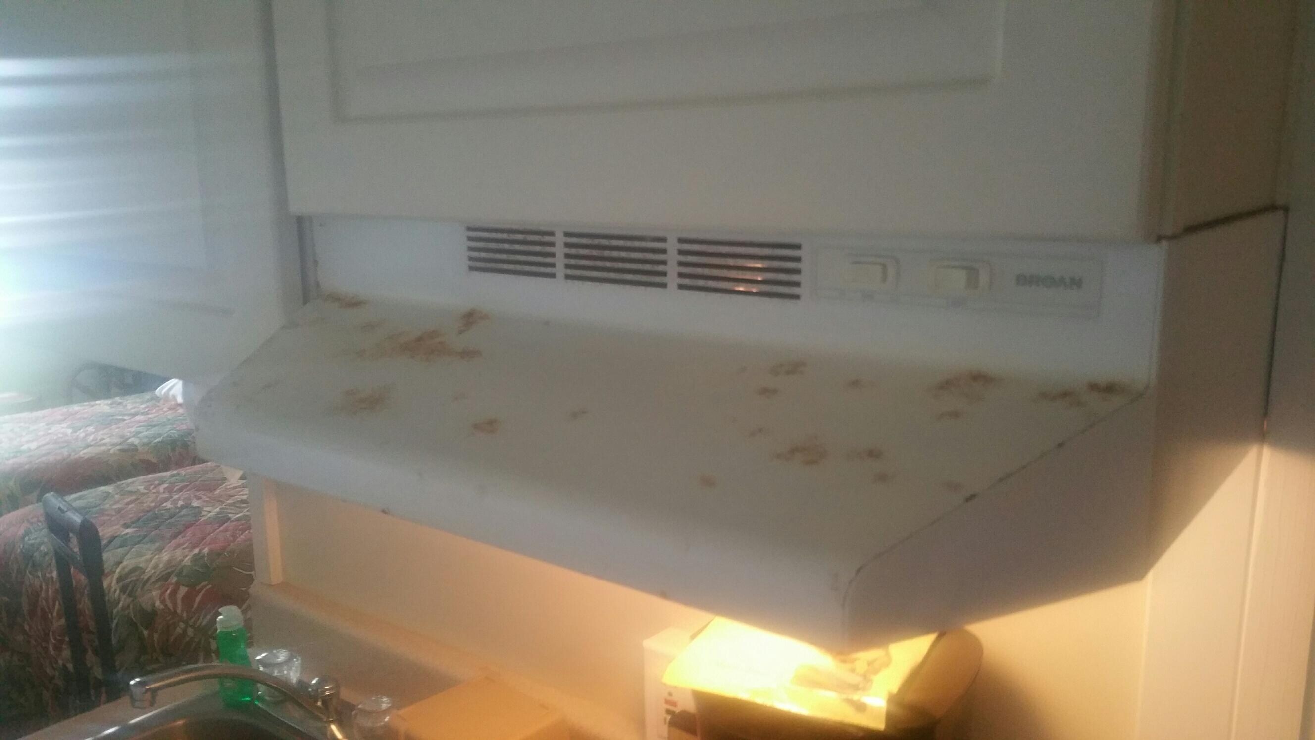 Falling ceiling