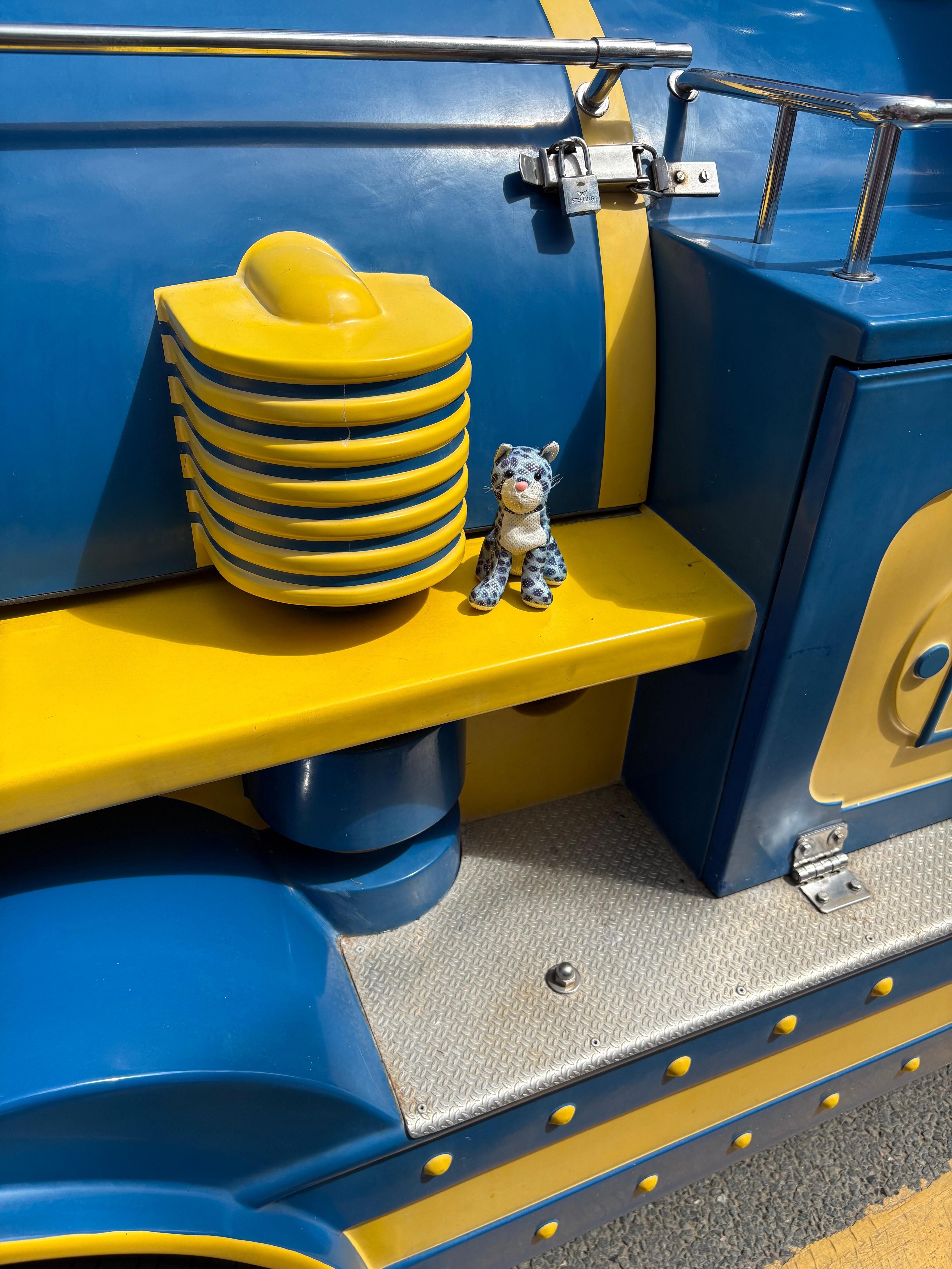 Barnacle loved going on the road train tour around Newquay ! 