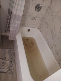 Sewage water & feces backed up into bathtub