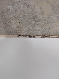 moldy tub