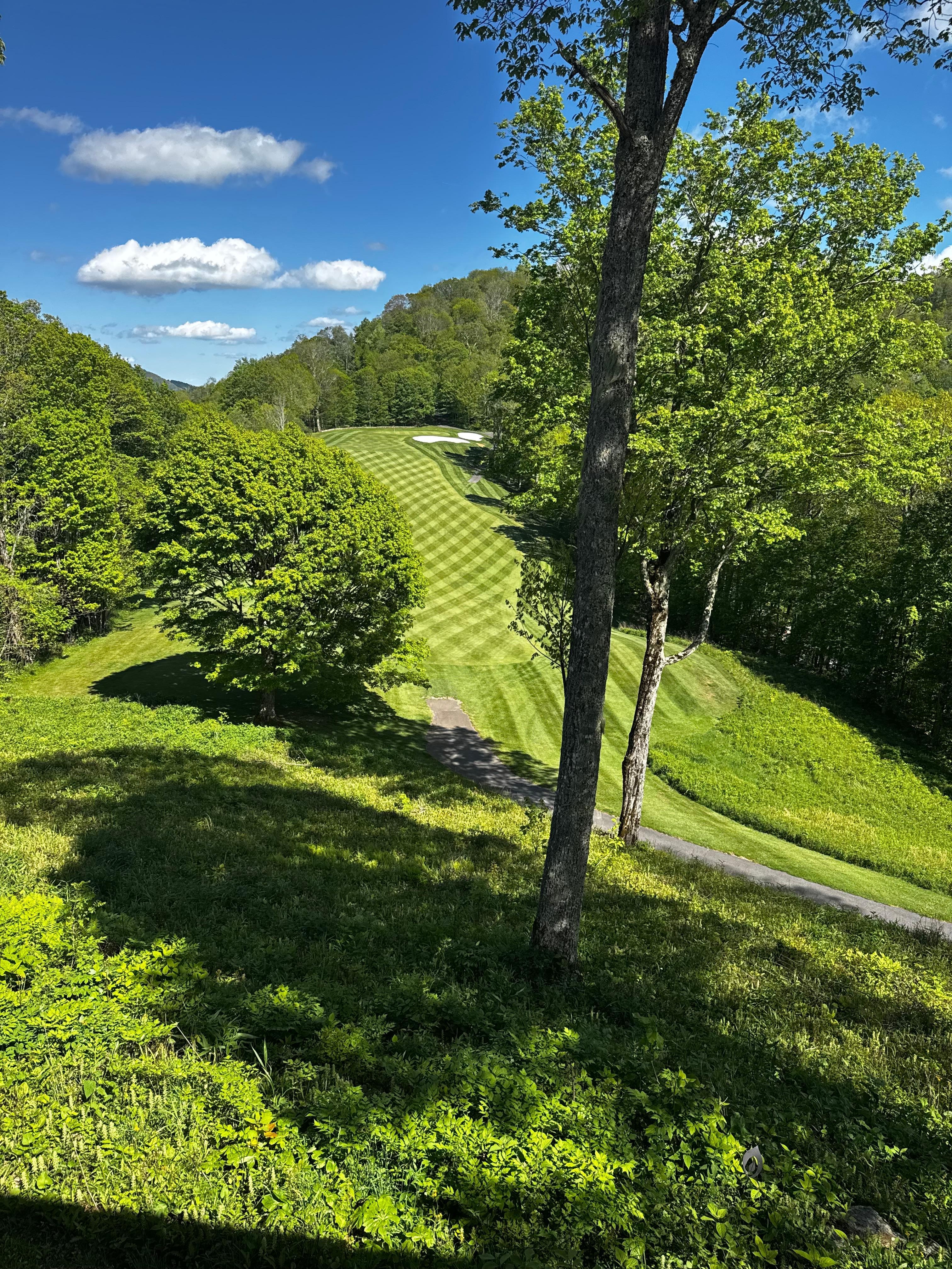View from the deck
