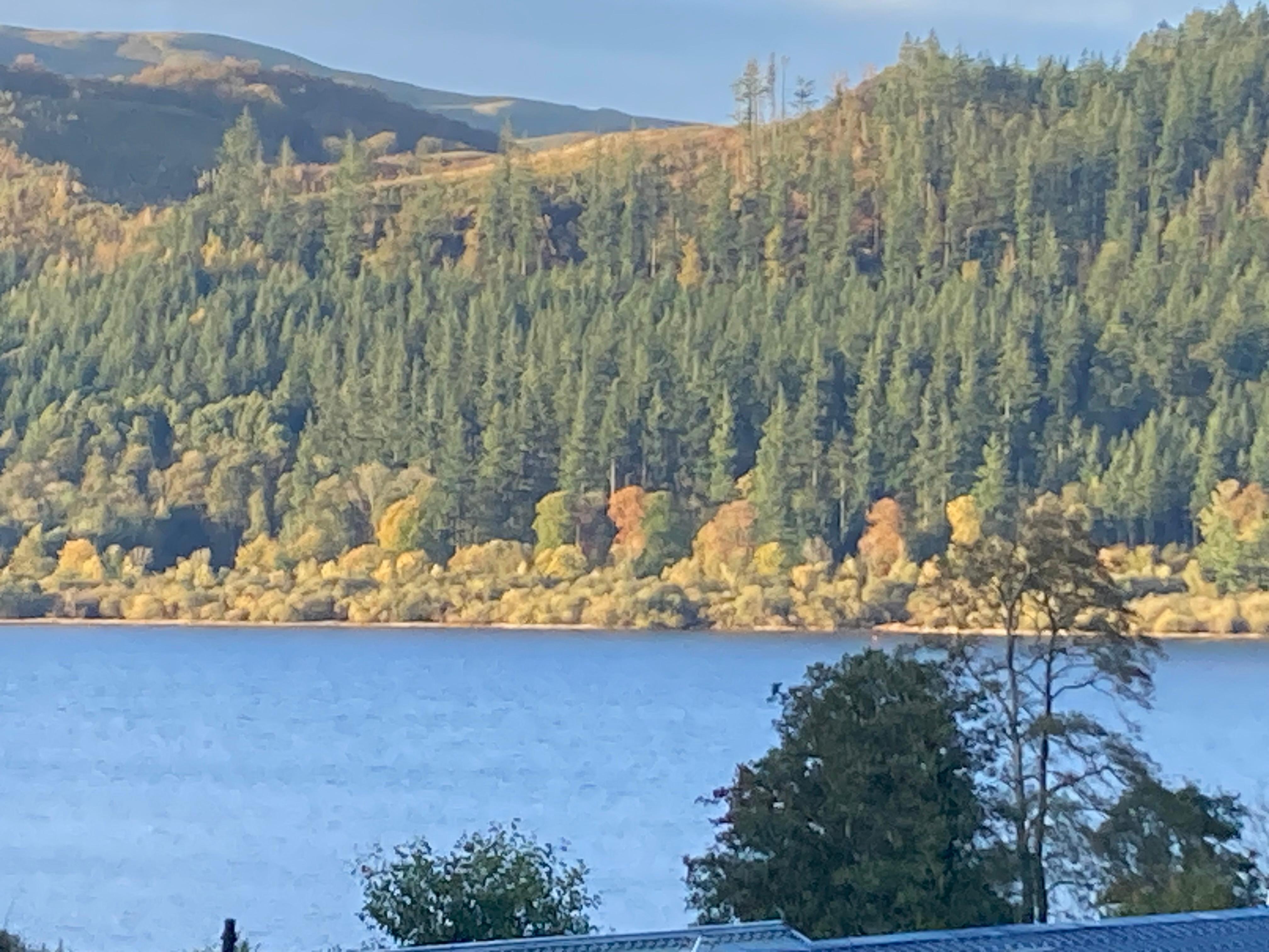 View from the lodge.