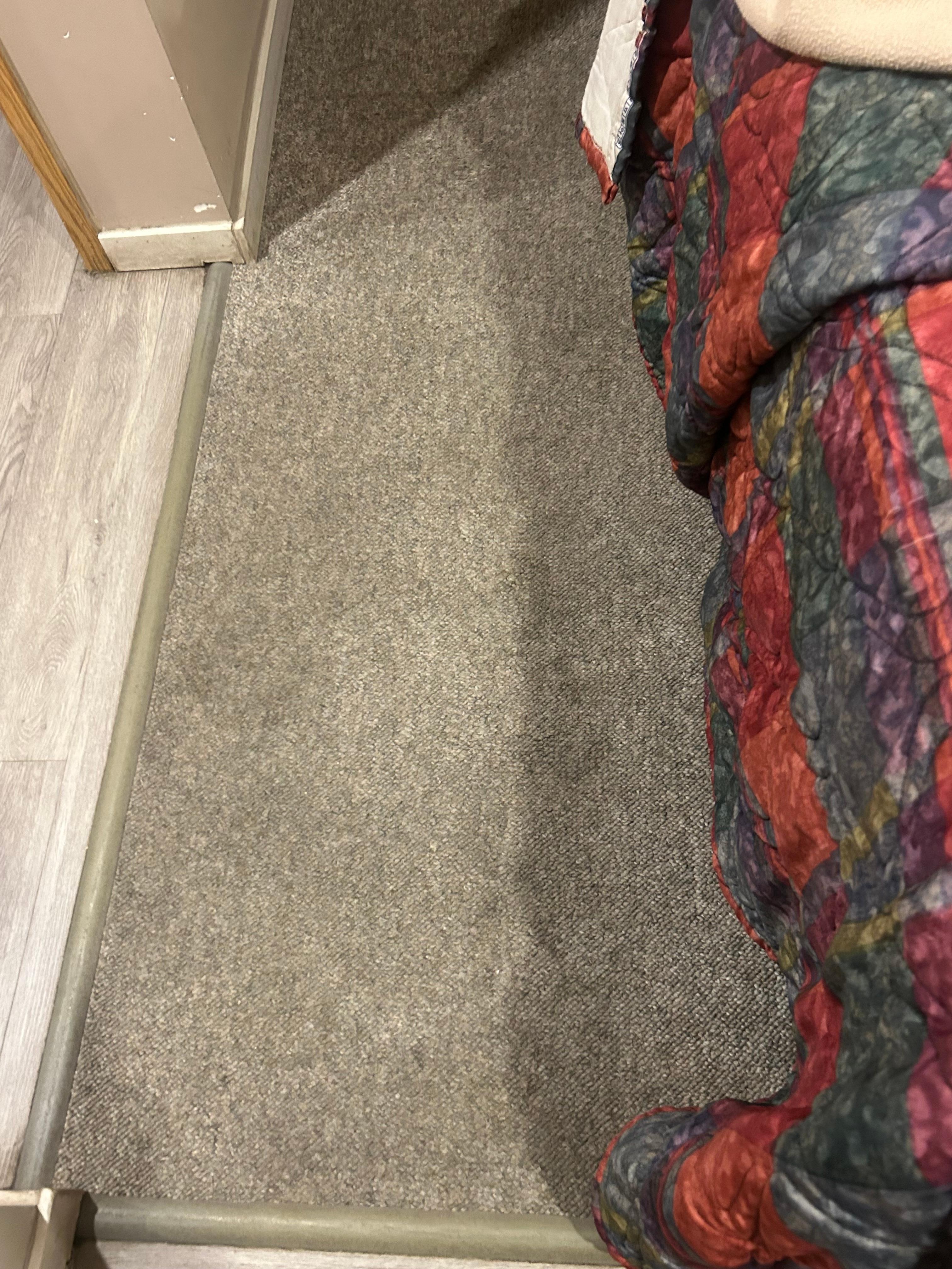 Carpet stained 