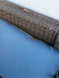 Dirty with bird poop all over furniture/