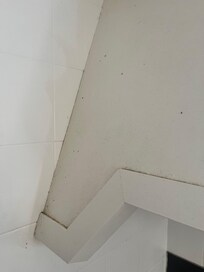 The kitchen walls were covered in grease.