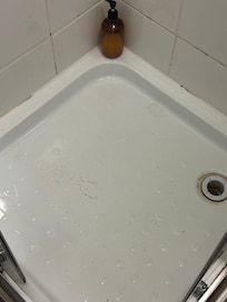 Mold and dirt in the shower