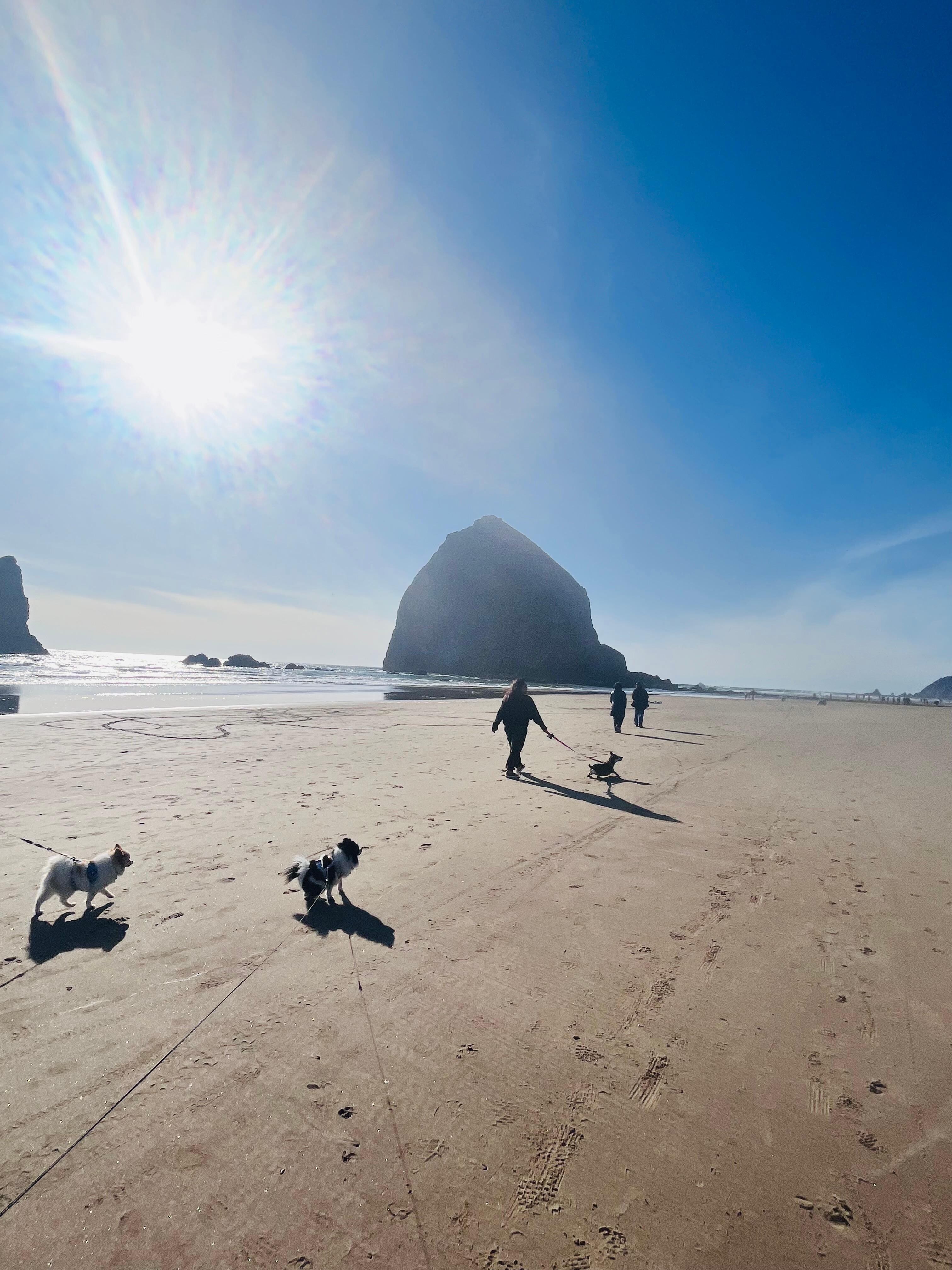 Walking on the beach. 