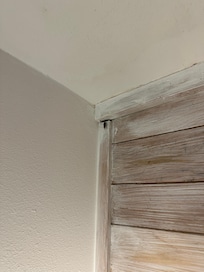 bug going behind wall by window