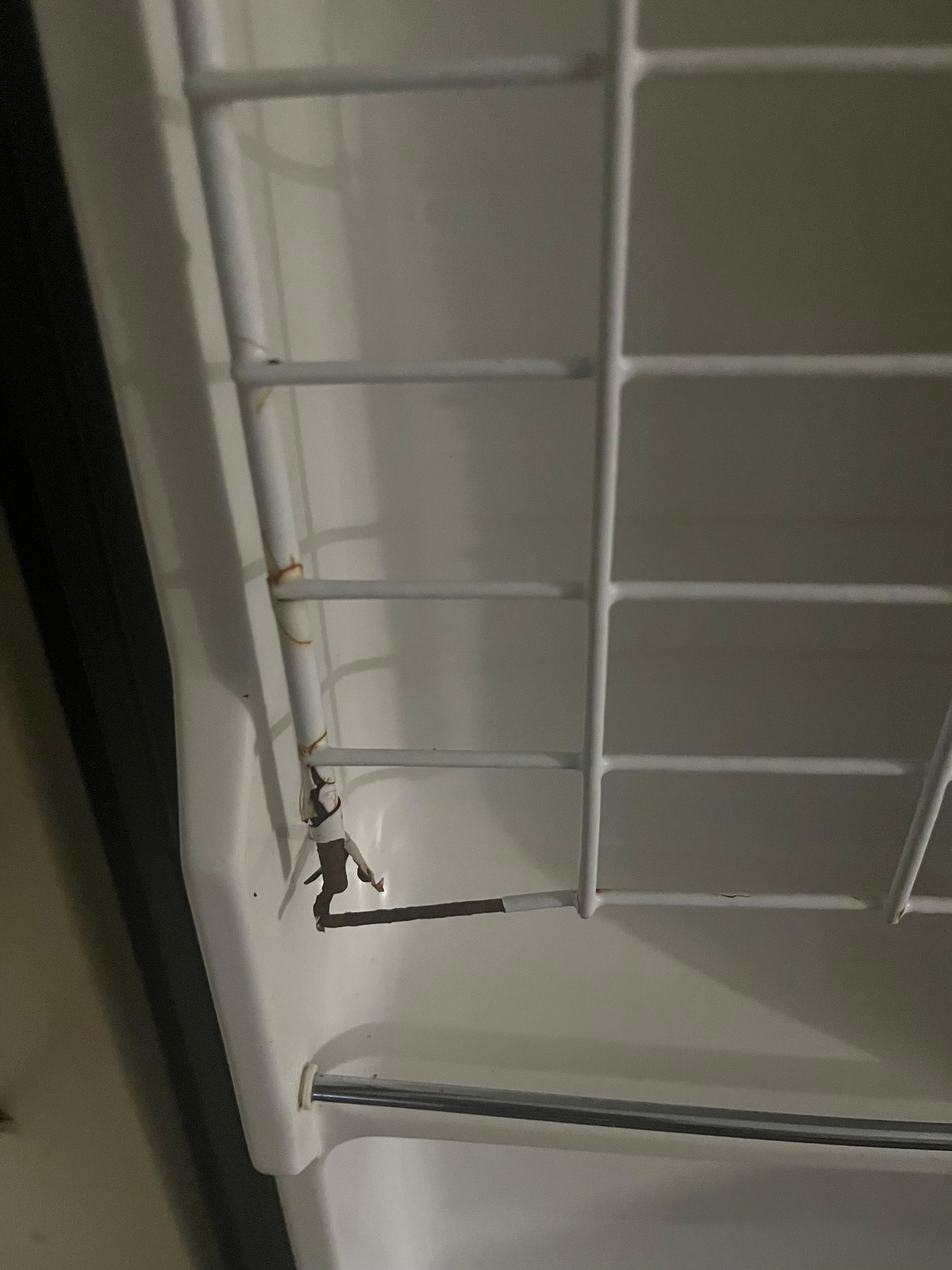 Inside rusty refrigerator 