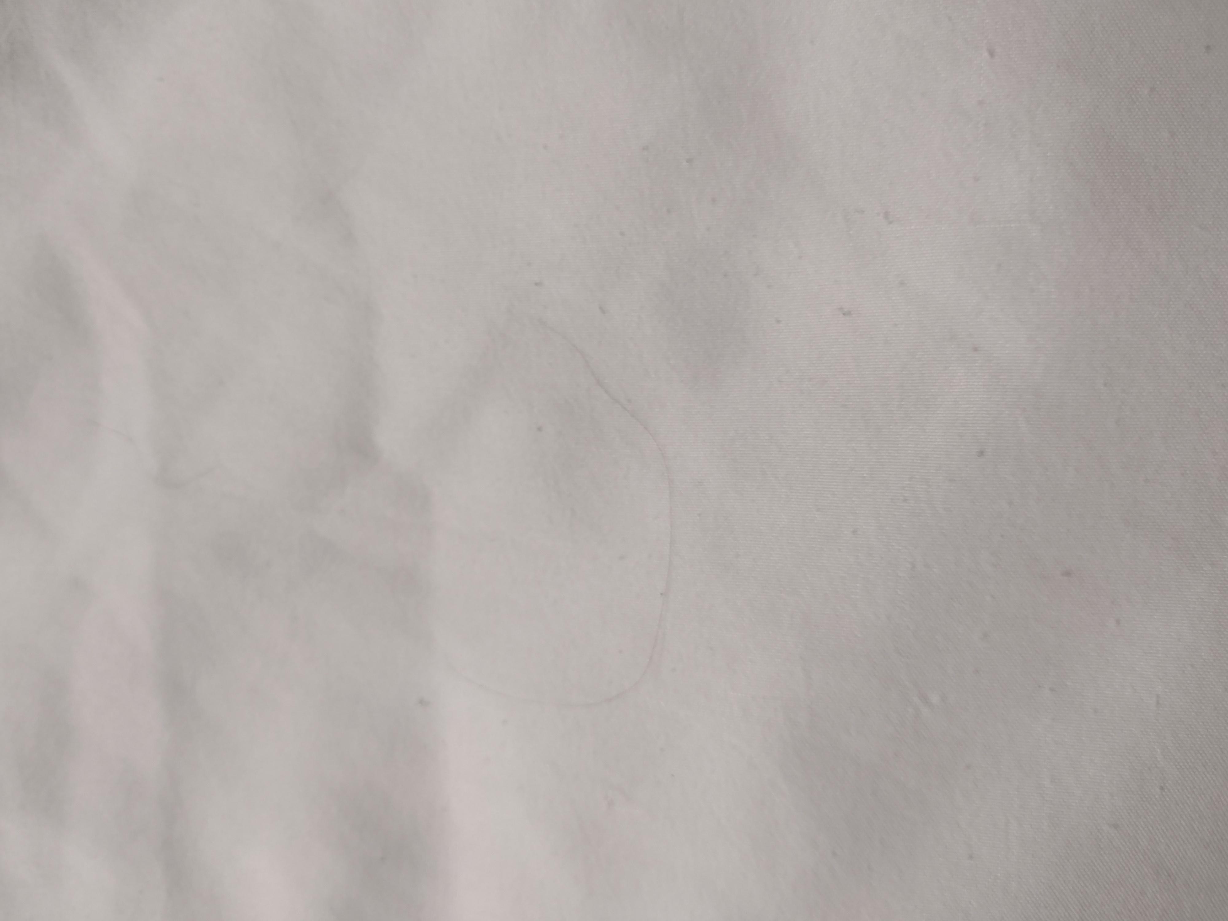 Hair