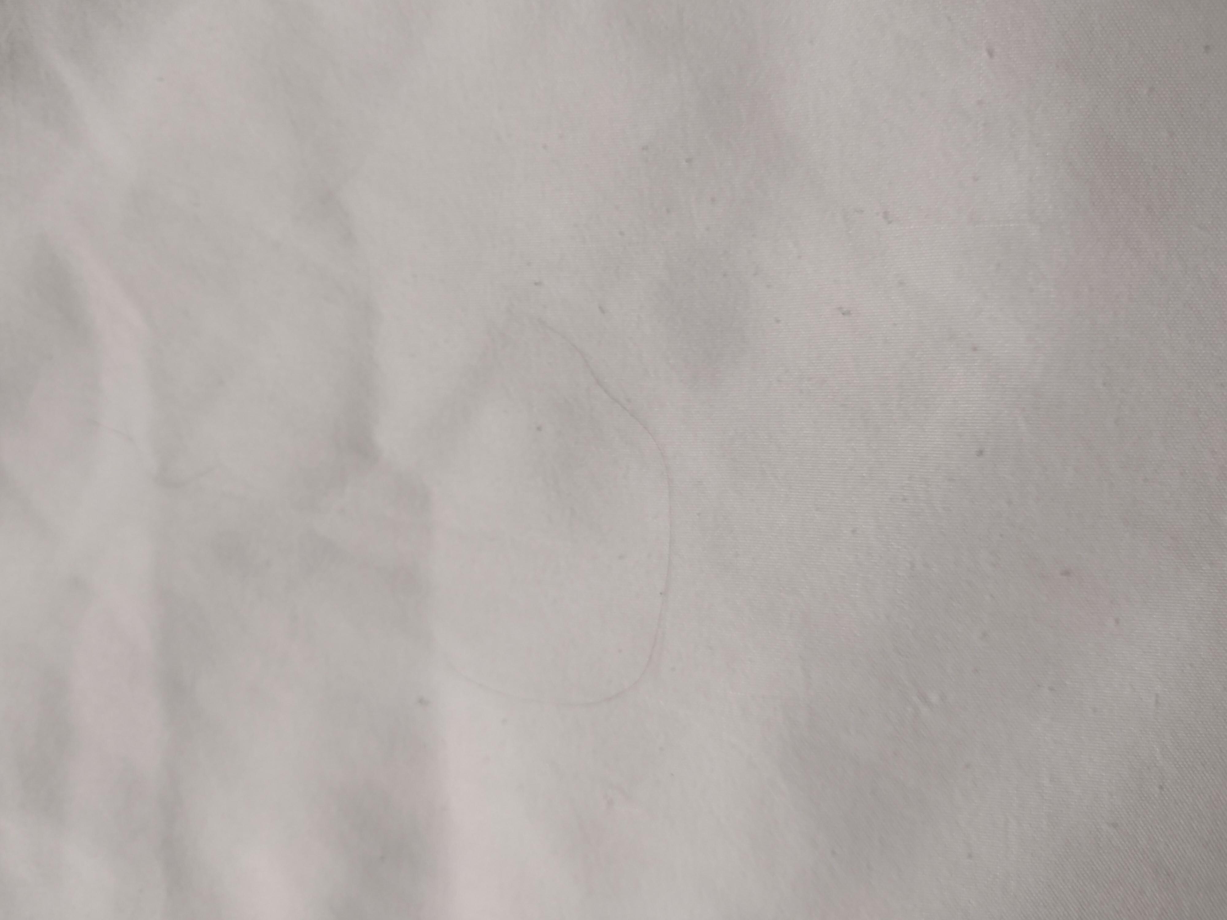 Hair 