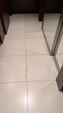 Water licking from AC vent