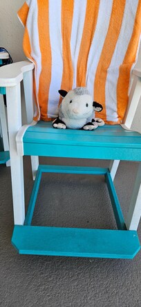 Grandson's possum Tater approved of location!