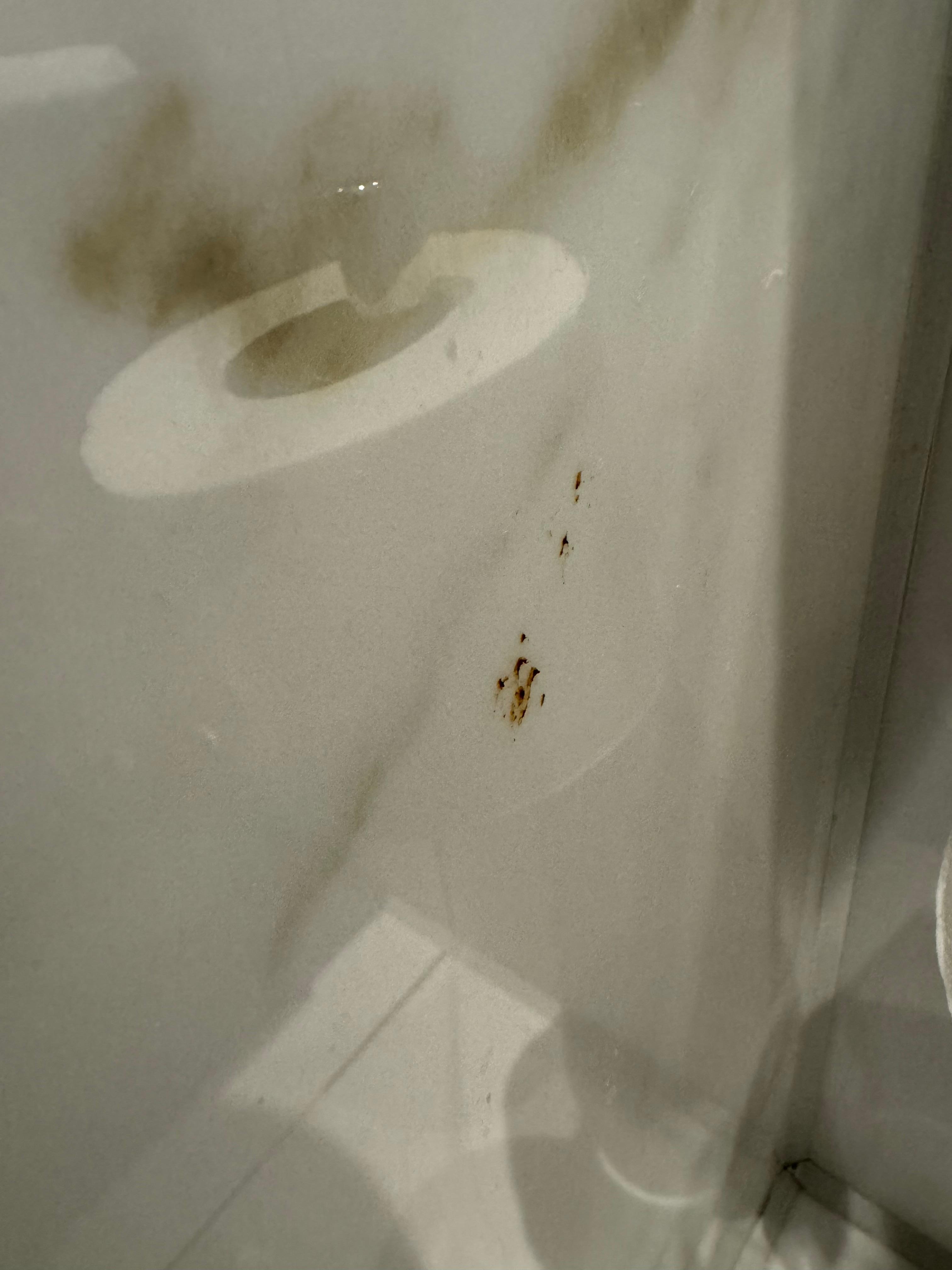 Brown substance on the wall