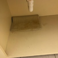 The shower mat 🤢