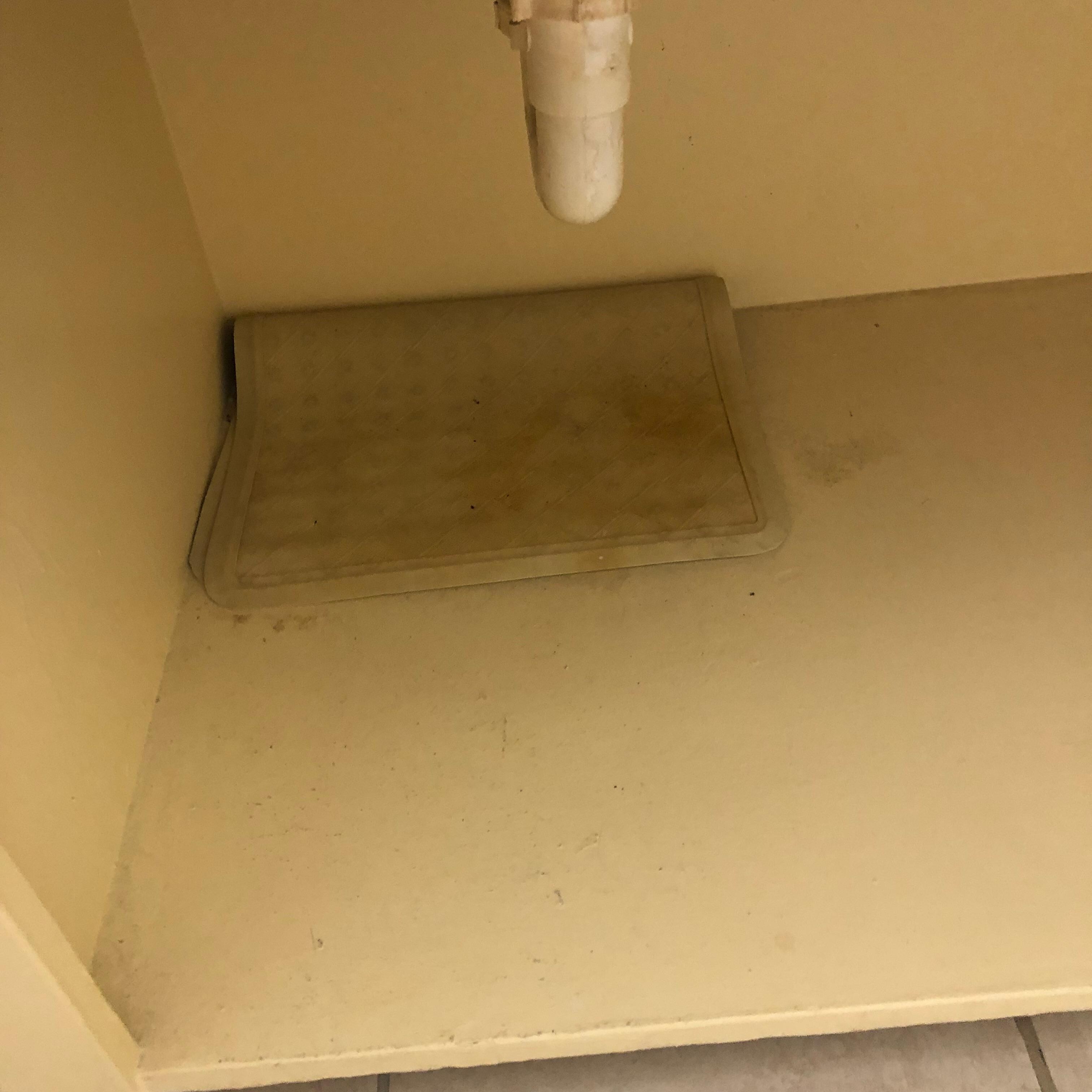 The shower mat 🤢
