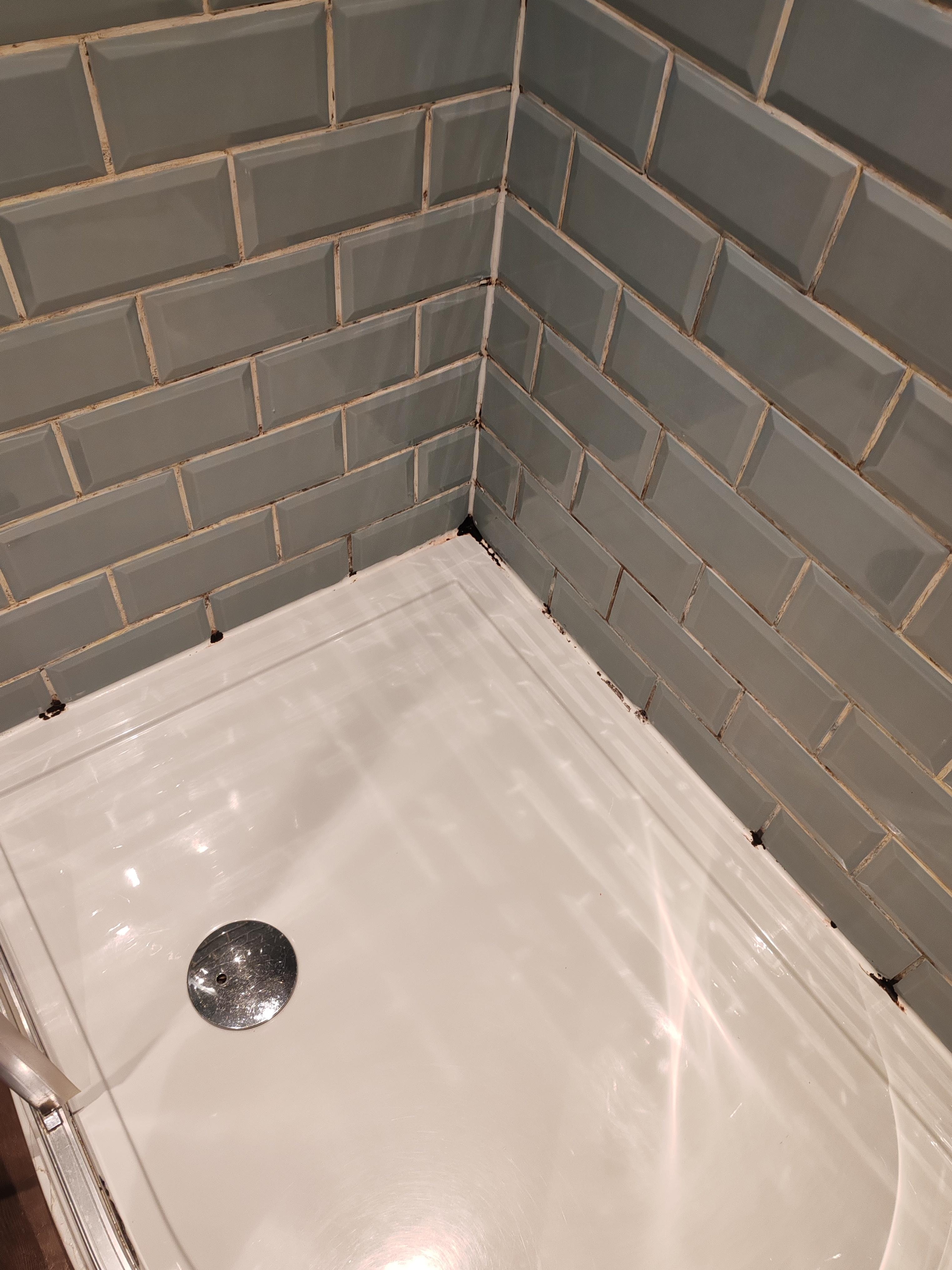 Black mould in shower 