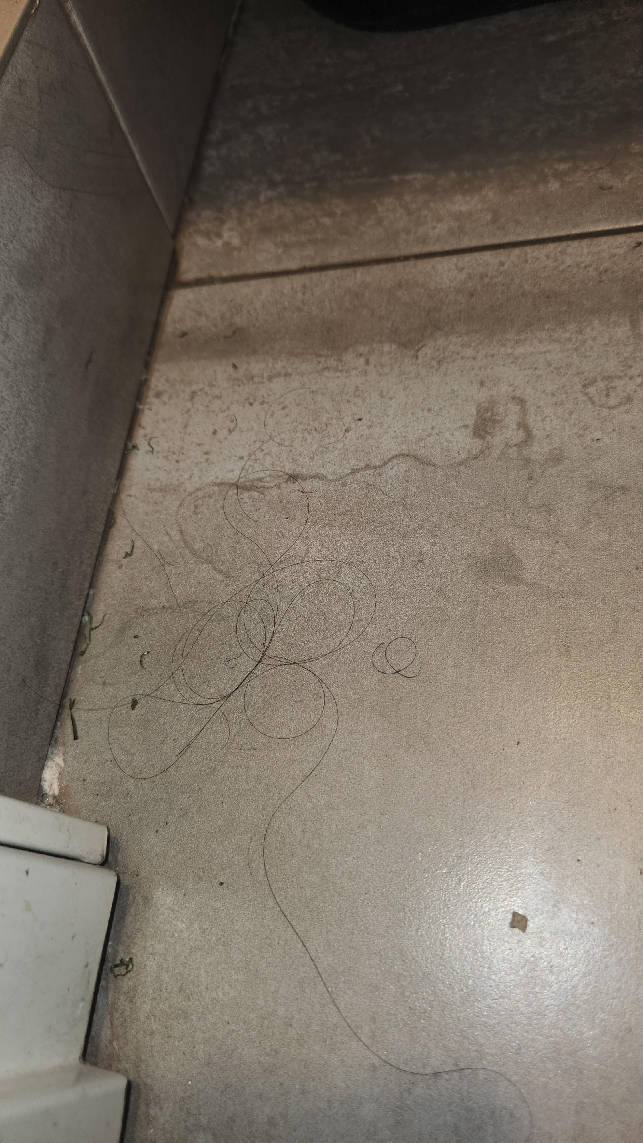 A bunch of hairs on the bathroom floor