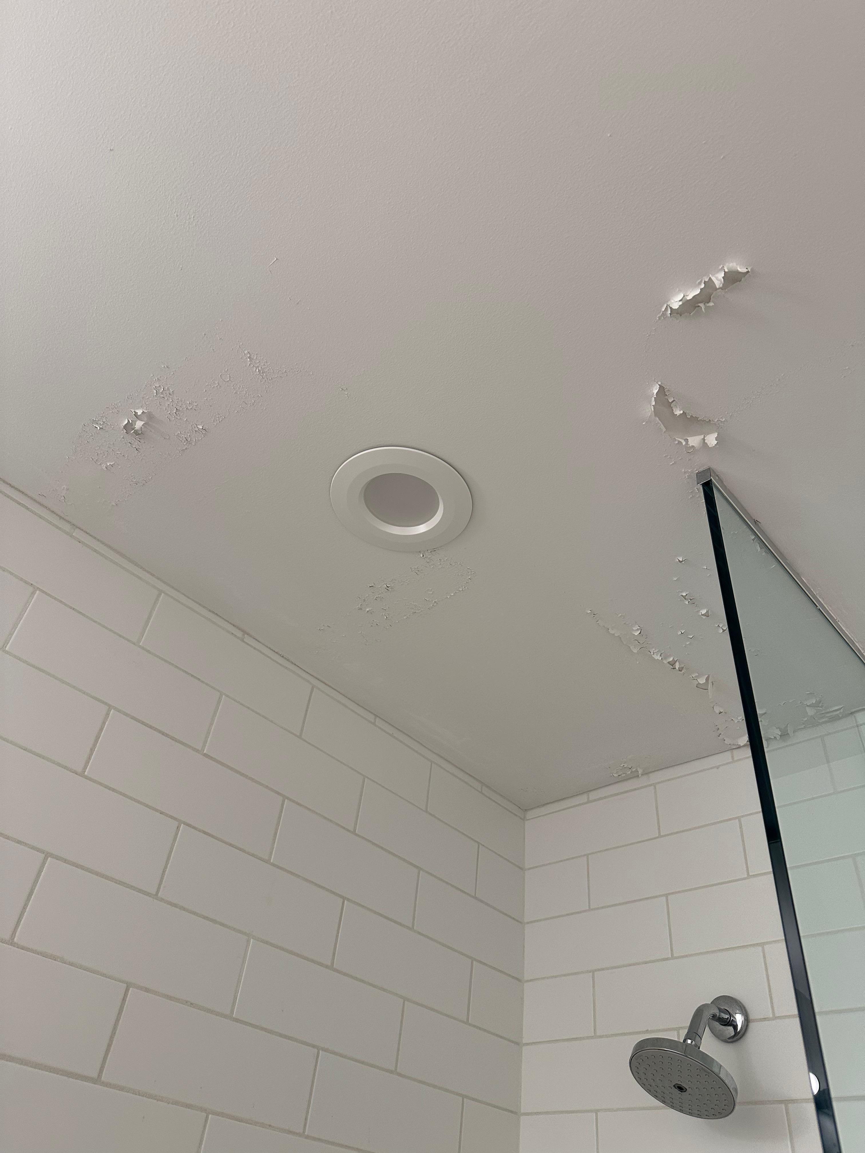 The peeling paint on the ceiling in the bathroom.