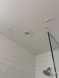 The peeling paint on the ceiling in the bathroom.